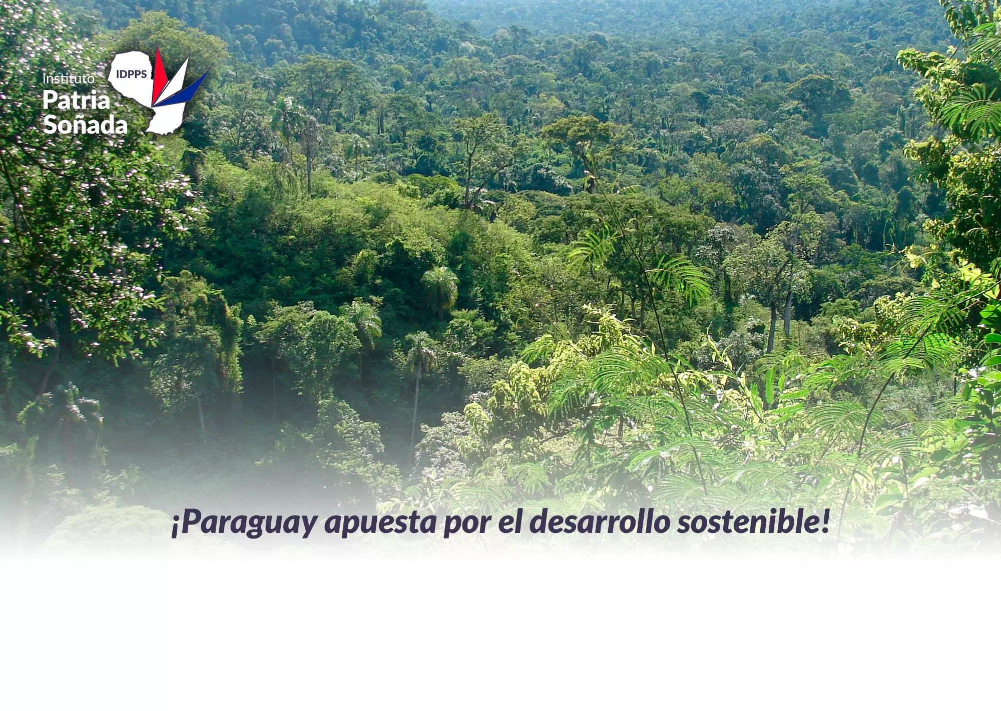 Paraguay avanza hacia un futuro verde: Se reglamenta la Ley de Créditos de Carbono